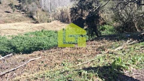 Terreno para Venda em Condeixa-A-Velha e Condeixa-A-Nova