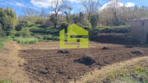 Terreno para Venda em Condeixa-A-Velha e Condeixa-A-Nova