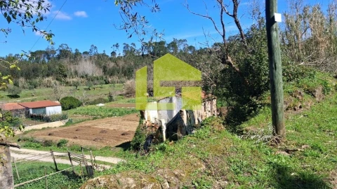 Terreno para Venda em Condeixa-A-Velha e Condeixa-A-Nova