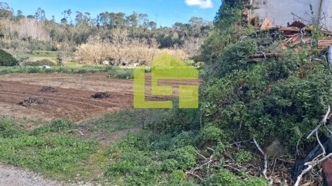 Terreno para Venda em Condeixa-A-Velha e Condeixa-A-Nova