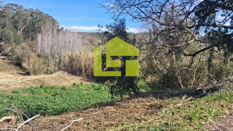 Terreno para Venda em Condeixa-A-Velha e Condeixa-A-Nova