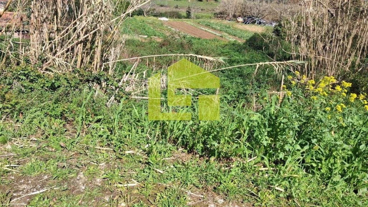 Terreno para Venda em Condeixa-A-Velha e Condeixa-A-Nova Foto 16