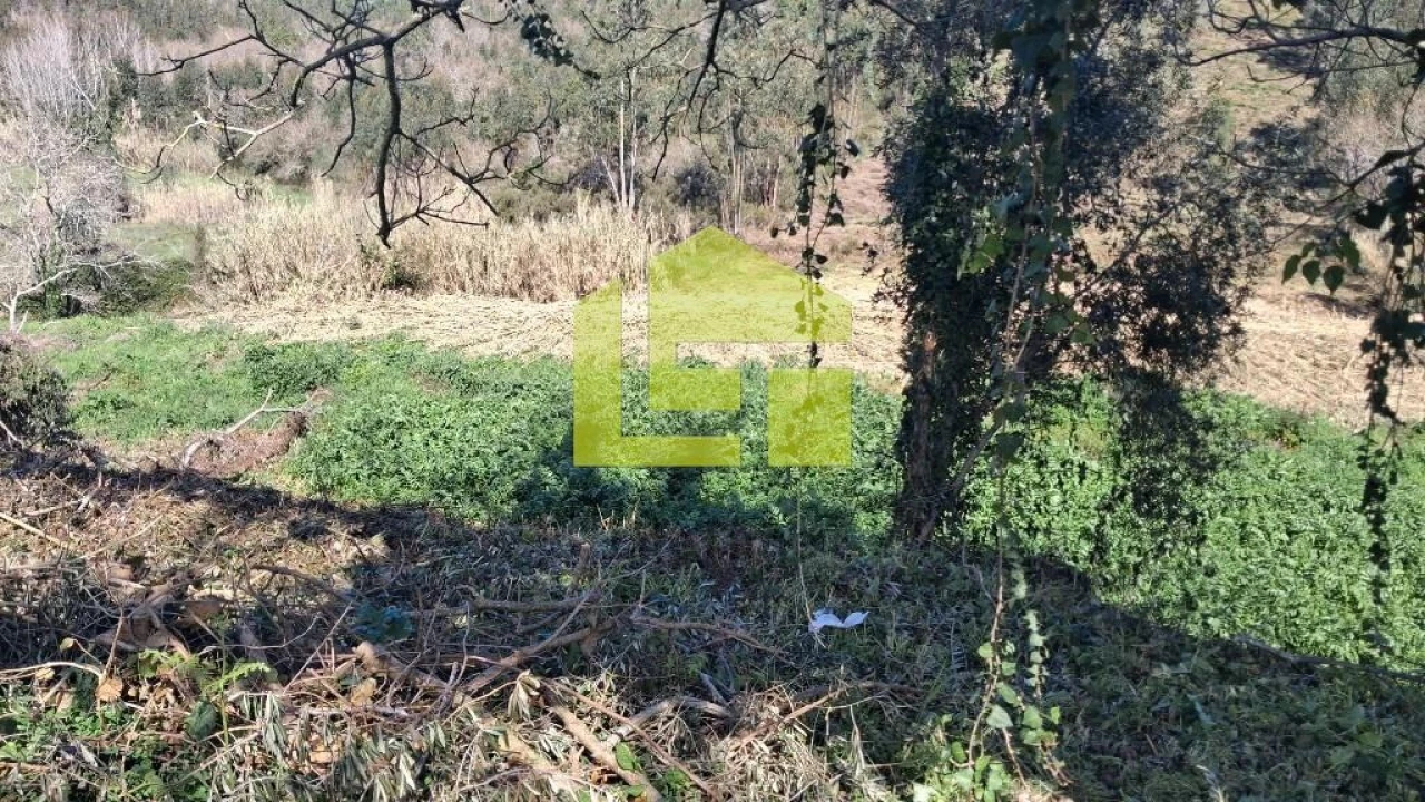 Terreno para Venda em Condeixa-A-Velha e Condeixa-A-Nova Foto 24