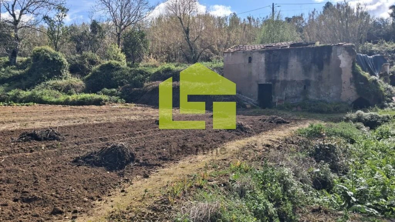 Terreno para Venda em Condeixa-A-Velha e Condeixa-A-Nova Foto 39