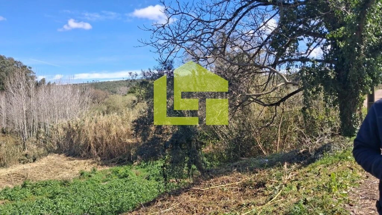 Terreno para Venda em Condeixa-A-Velha e Condeixa-A-Nova Foto 26