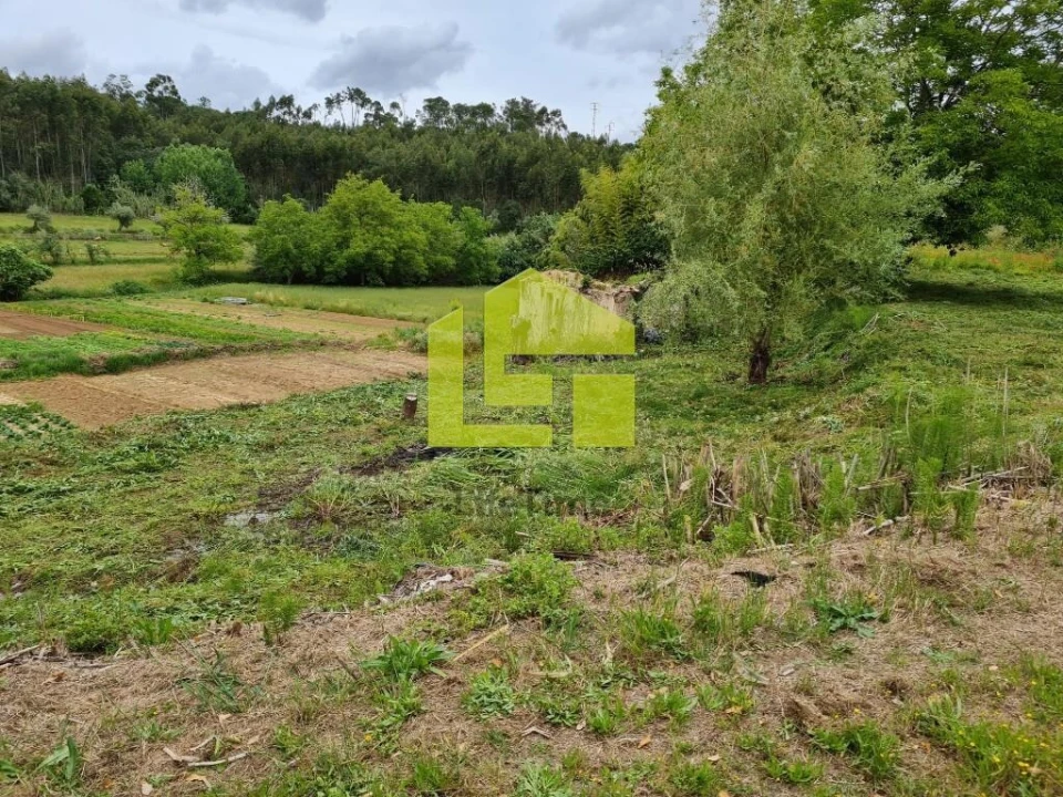 Terreno para Venda em Condeixa-A-Velha e Condeixa-A-Nova Foto 9