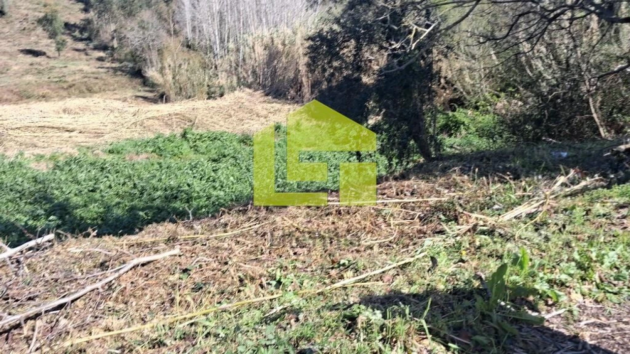 Terreno para Venda em Condeixa-A-Velha e Condeixa-A-Nova Foto 23