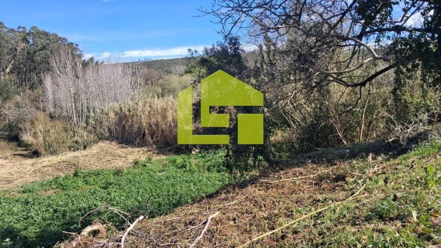 Terreno para Venda em Condeixa-A-Velha e Condeixa-A-Nova Foto 25