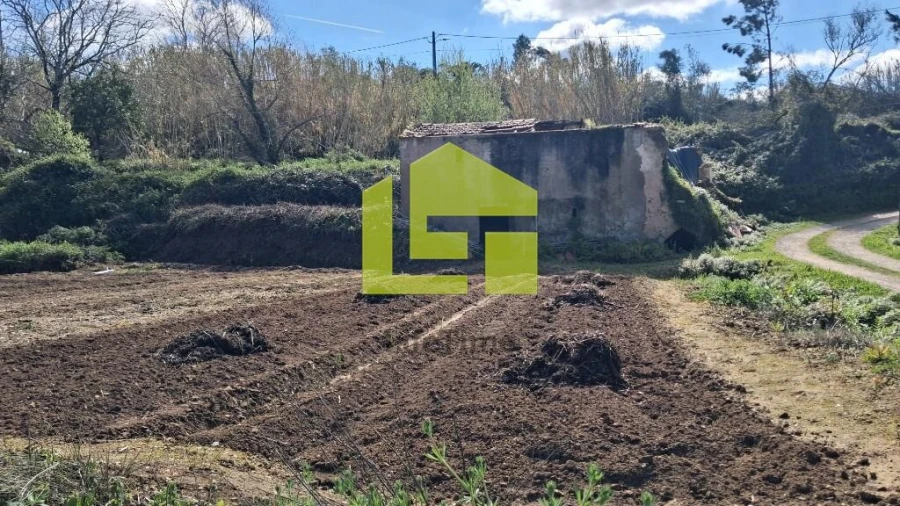 Terreno para Venda em Condeixa-A-Velha e Condeixa-A-Nova Foto 43