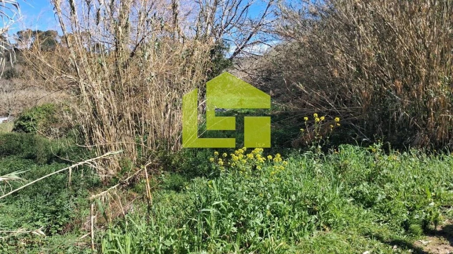 Terreno para Venda em Condeixa-A-Velha e Condeixa-A-Nova Foto 15