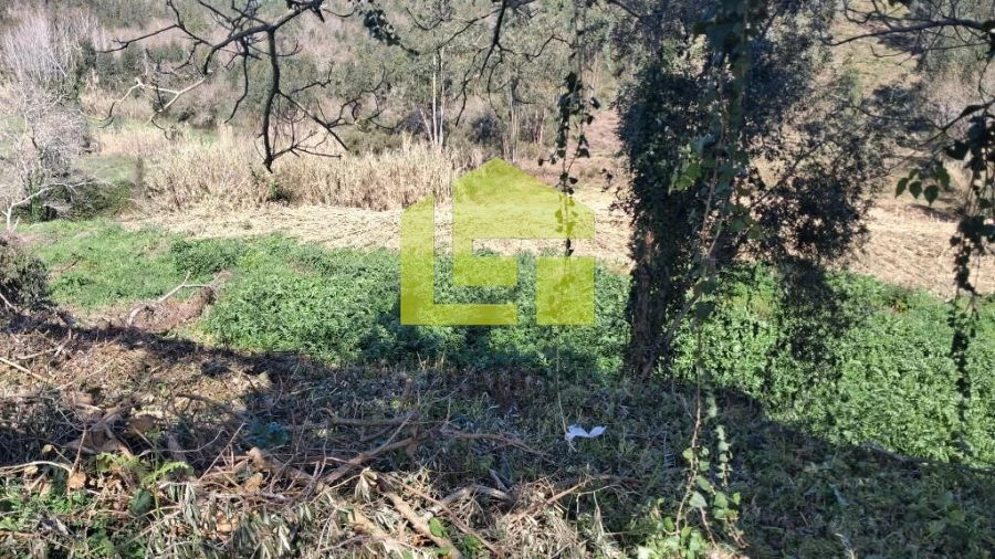 Terreno para Venda em Condeixa-A-Velha e Condeixa-A-Nova Foto 24