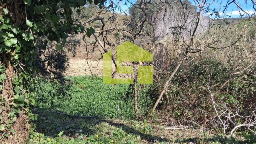 Terreno para Venda em Condeixa-A-Velha e Condeixa-A-Nova Foto 28