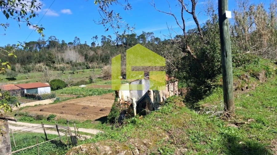 Terreno para Venda em Condeixa-A-Velha e Condeixa-A-Nova Foto 13