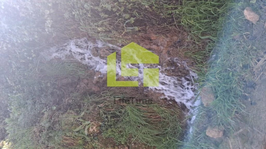 Terreno para Venda em Condeixa-A-Velha e Condeixa-A-Nova Foto 17