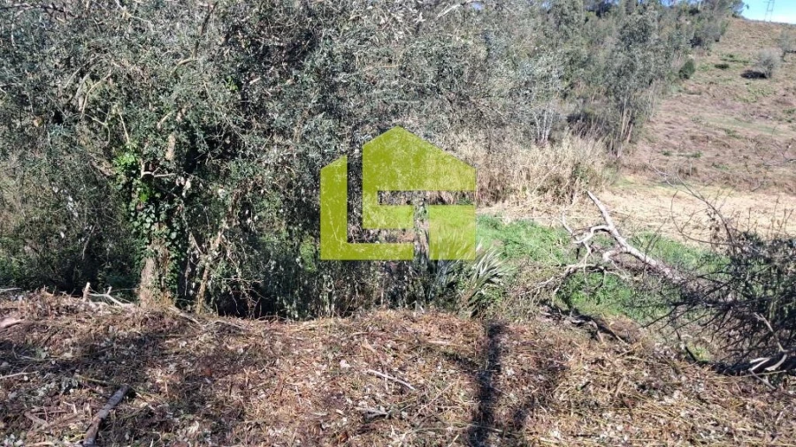 Terreno para Venda em Condeixa-A-Velha e Condeixa-A-Nova Foto 21