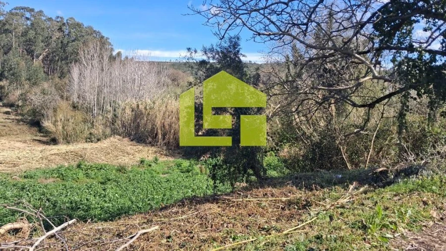 Terreno para Venda em Condeixa-A-Velha e Condeixa-A-Nova Foto 29