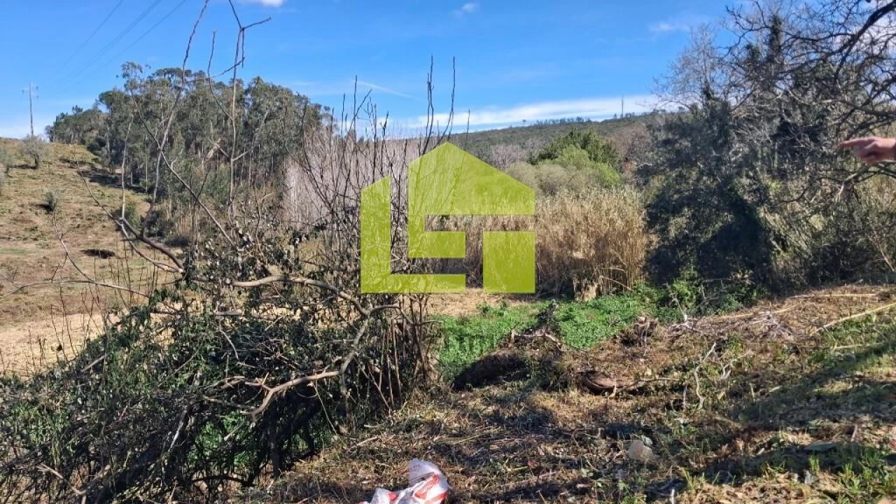 Terreno para Venda em Condeixa-A-Velha e Condeixa-A-Nova Foto 18