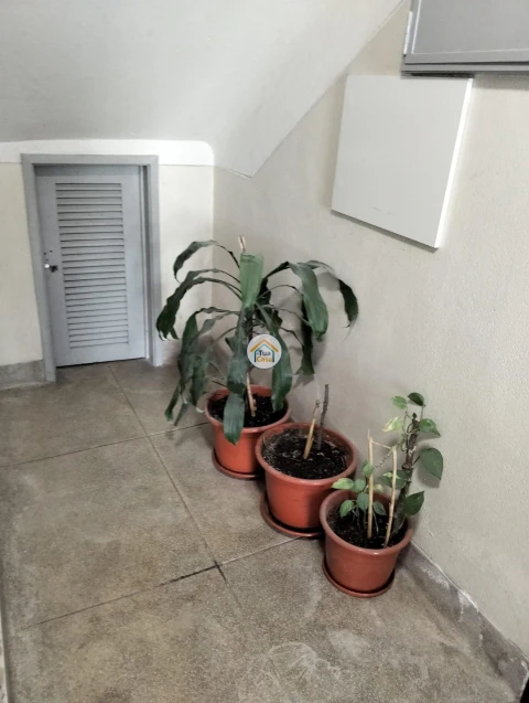 Apartamento T2 para Venda em Benfica