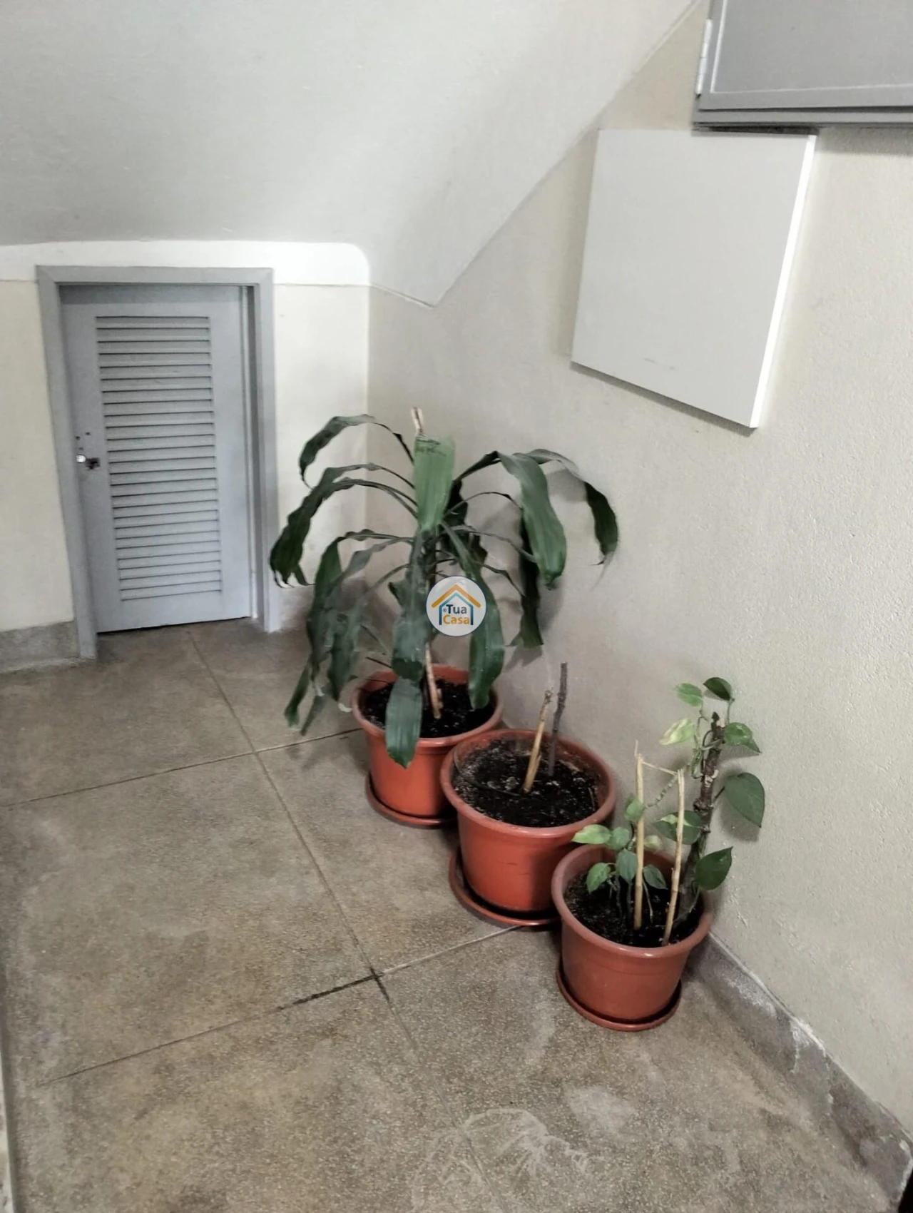 Apartamento T2 para Venda em Benfica Foto 5