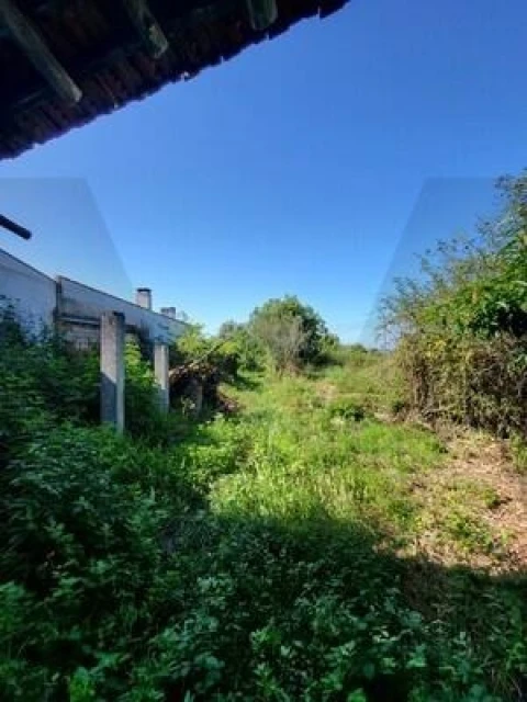 Moradia T2 para Venda em Pereira