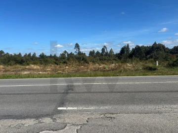 Terreno para Venda em Vagos e Santo António