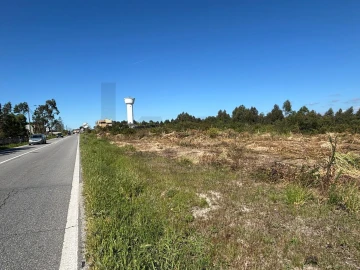 Terreno para Venda em Vagos e Santo António