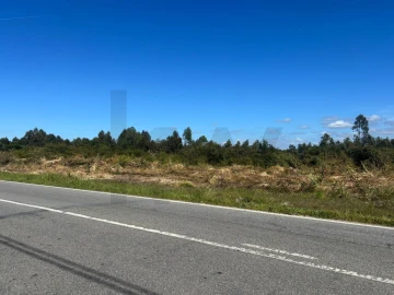 Terreno para Venda em Vagos e Santo António