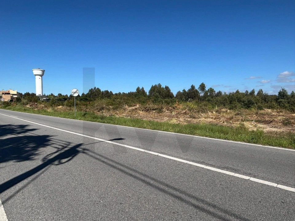 Terreno para Venda em Vagos e Santo António Foto 13