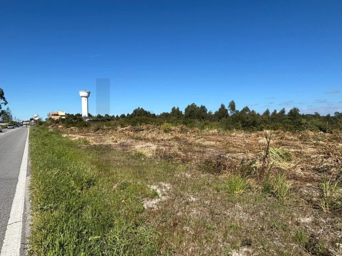 Terreno para Venda em Vagos e Santo António Foto 8