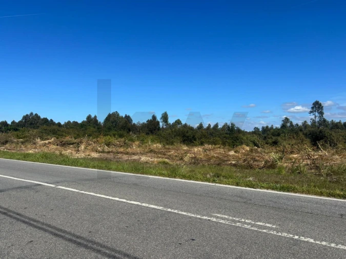 Terreno para Venda em Vagos e Santo António Foto 5
