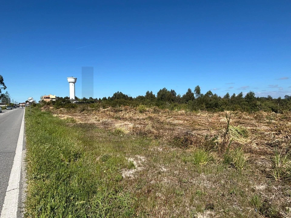 Terreno para Venda em Vagos e Santo António Foto 8