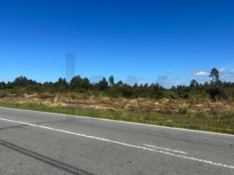 Terreno para Venda em Vagos e Santo António Foto 5