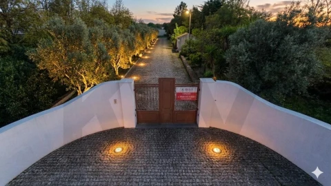 Quinta T4 para Venda em Bacelo e Senhora da Saúde