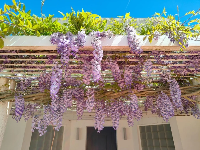 Quinta T4 para Venda em Bacelo e Senhora da Saúde Foto 15