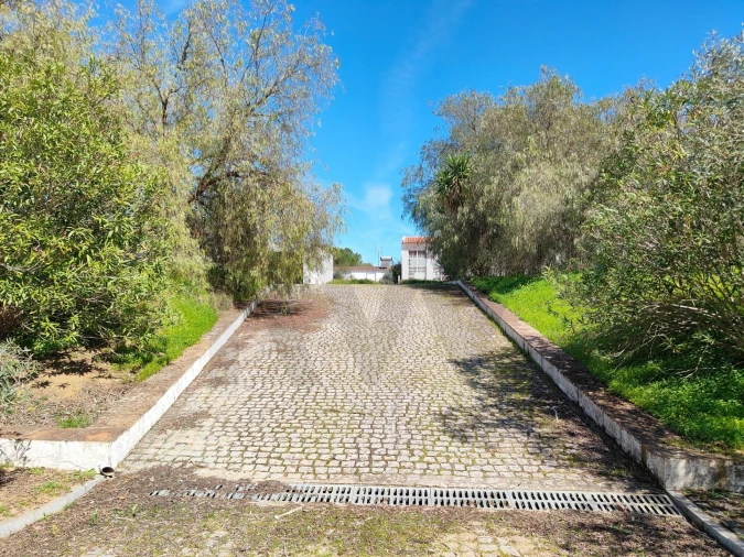 Quinta T4 para Venda em Bacelo e Senhora da Saúde Foto 57