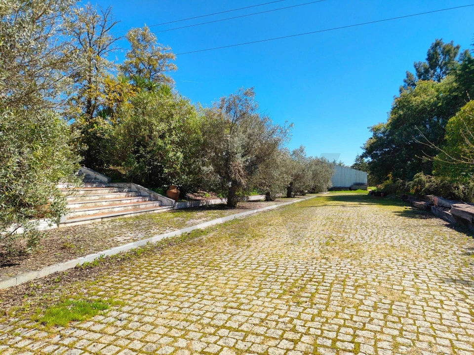 Quinta T4 para Venda em Bacelo e Senhora da Saúde Foto 54