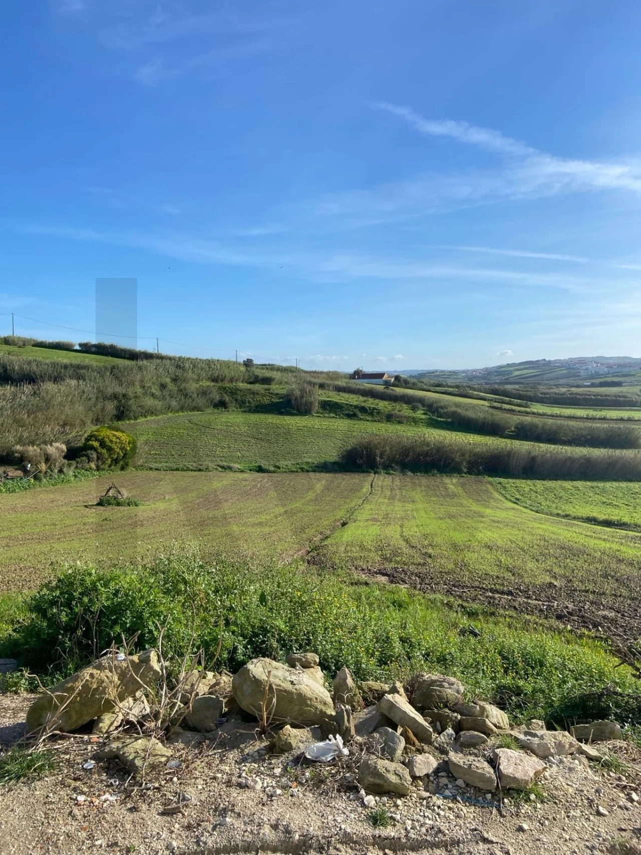 Moradia T2 para Venda em São Pedro da Cadeira Foto 26