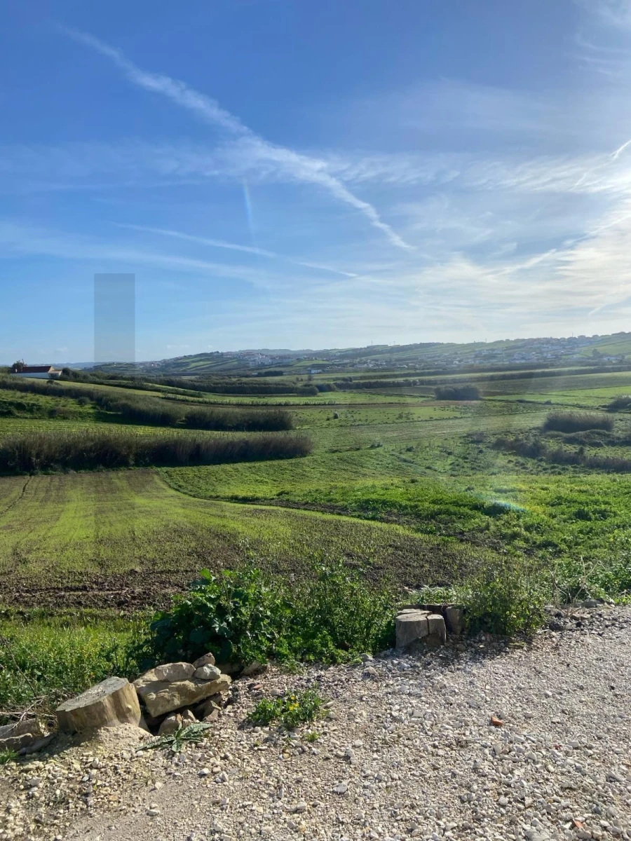 Moradia T2 para Venda em São Pedro da Cadeira Foto 29