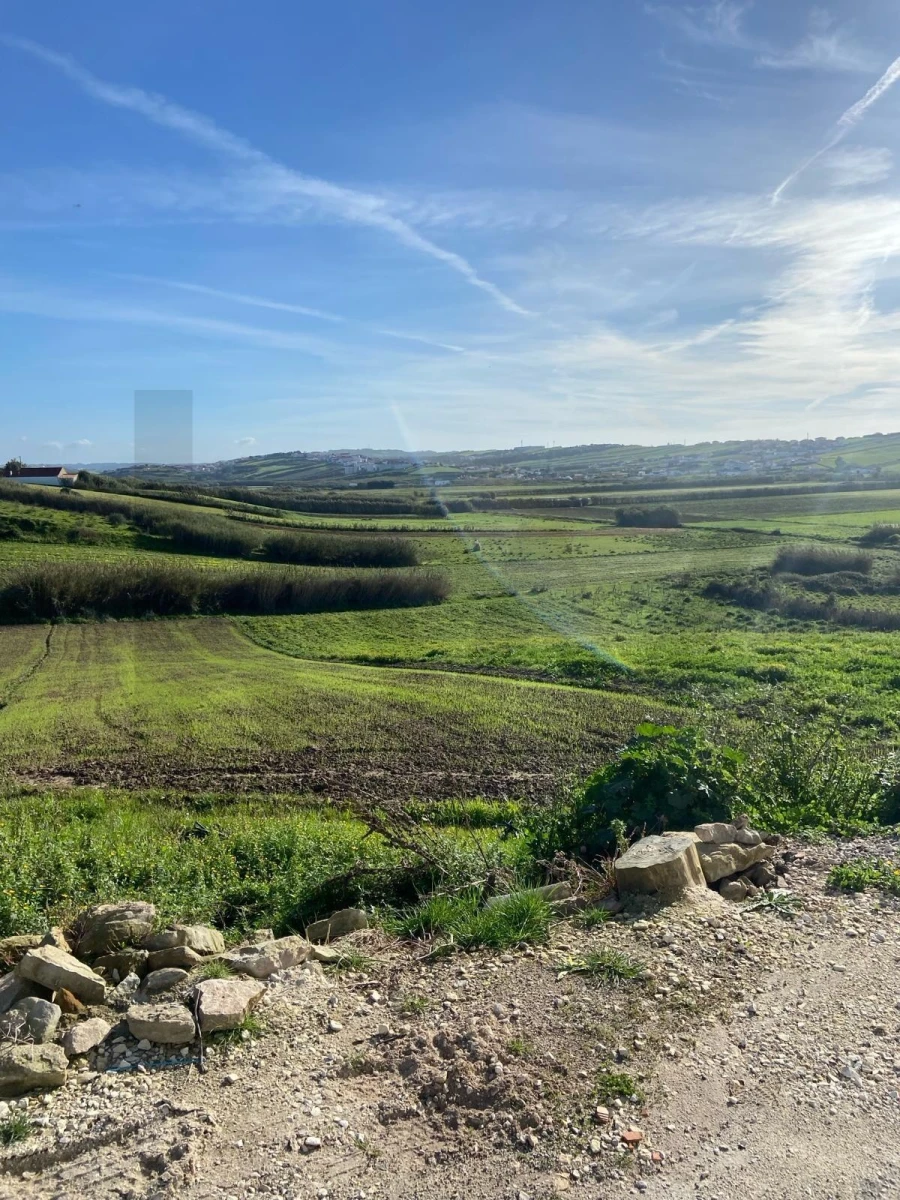 Moradia T2 para Venda em São Pedro da Cadeira Foto 27