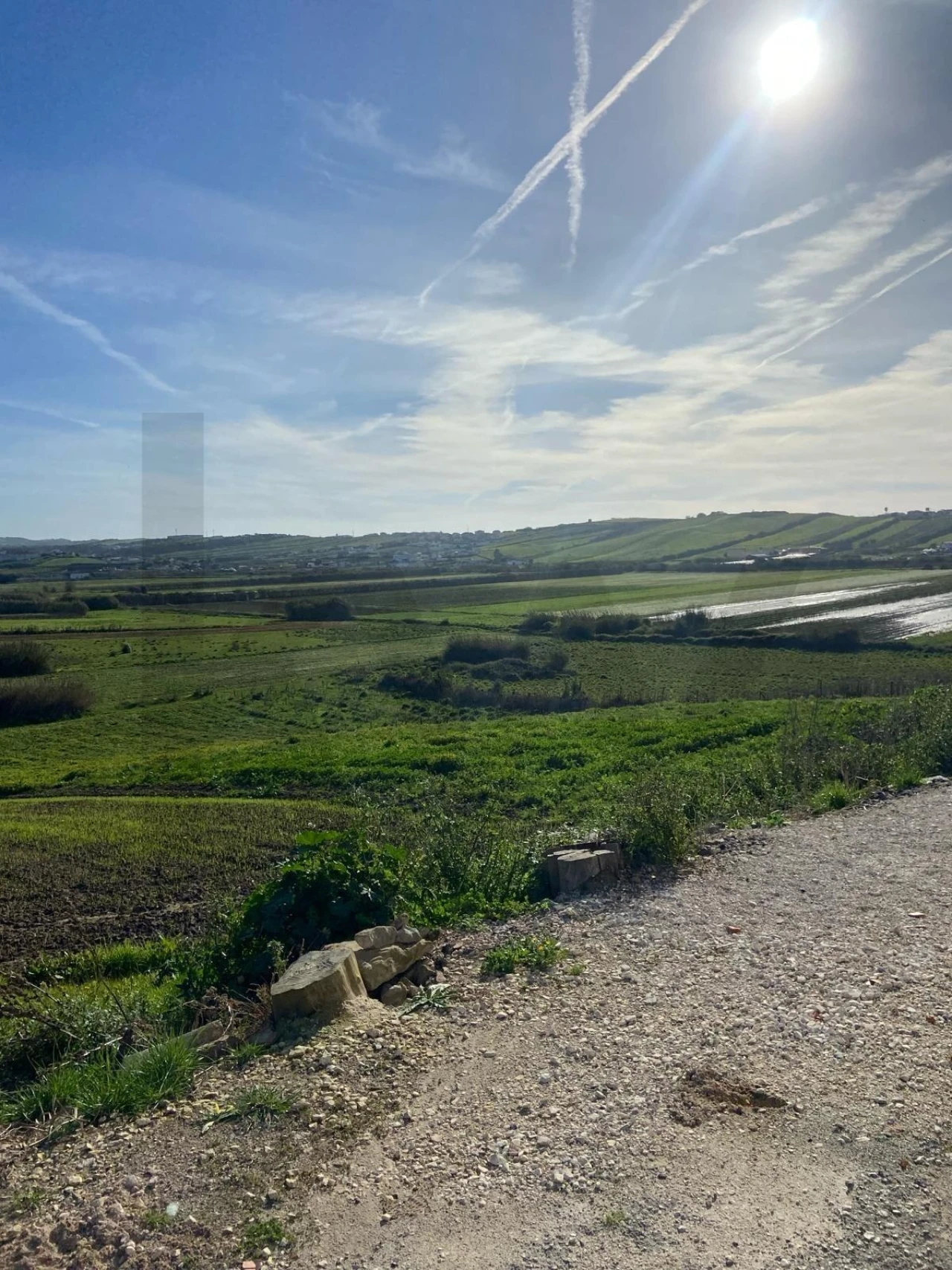 Moradia T2 para Venda em São Pedro da Cadeira Foto 28