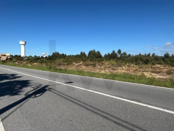 Terreno para Venda em Vagos e Santo António