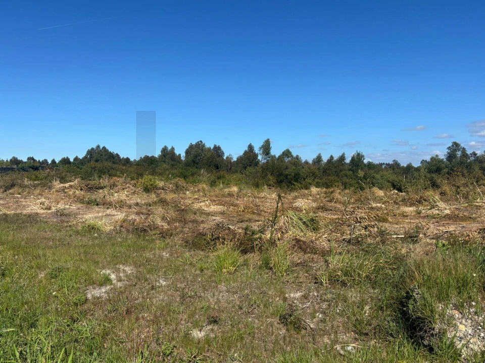 Terreno para Venda em Vagos e Santo António Foto 6