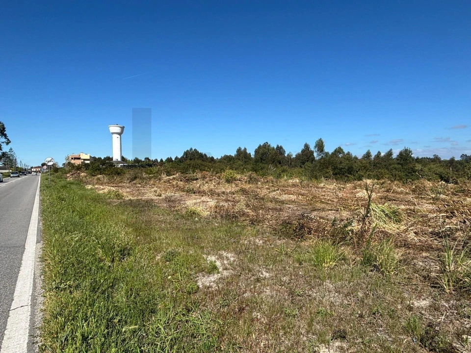 Terreno para Venda em Vagos e Santo António Foto 8