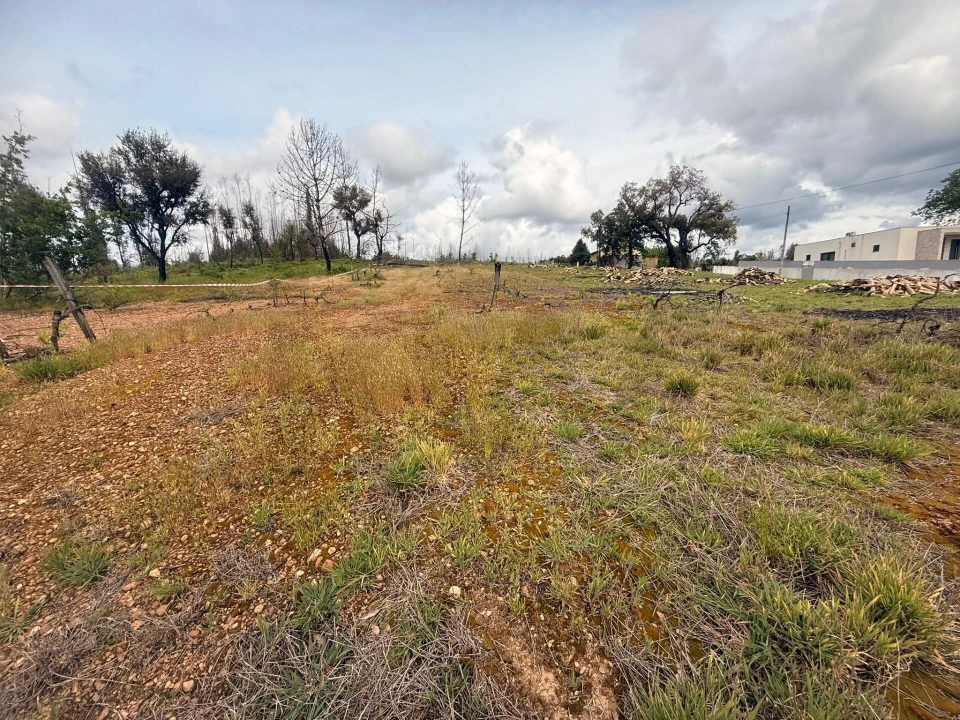 Terreno para Venda em Valongo do Vouga Foto 5