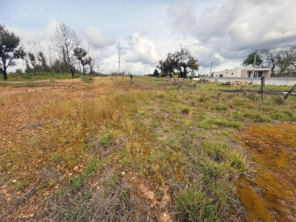 Terreno para Venda em Valongo do Vouga Foto 4