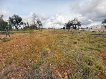 Terreno para Venda em Valongo do Vouga