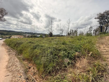 Terreno para Venda em Valongo do Vouga