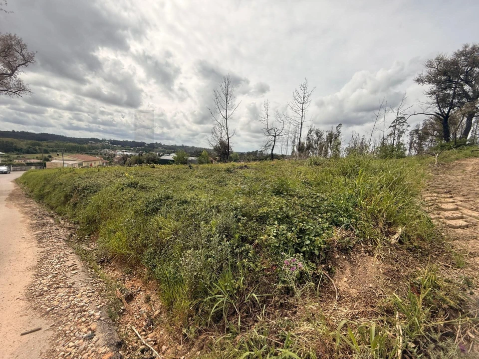 Terreno para Venda em Valongo do Vouga Foto 2