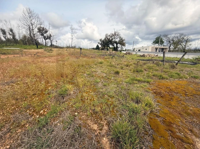 Terreno para Venda em Valongo do Vouga Foto 3