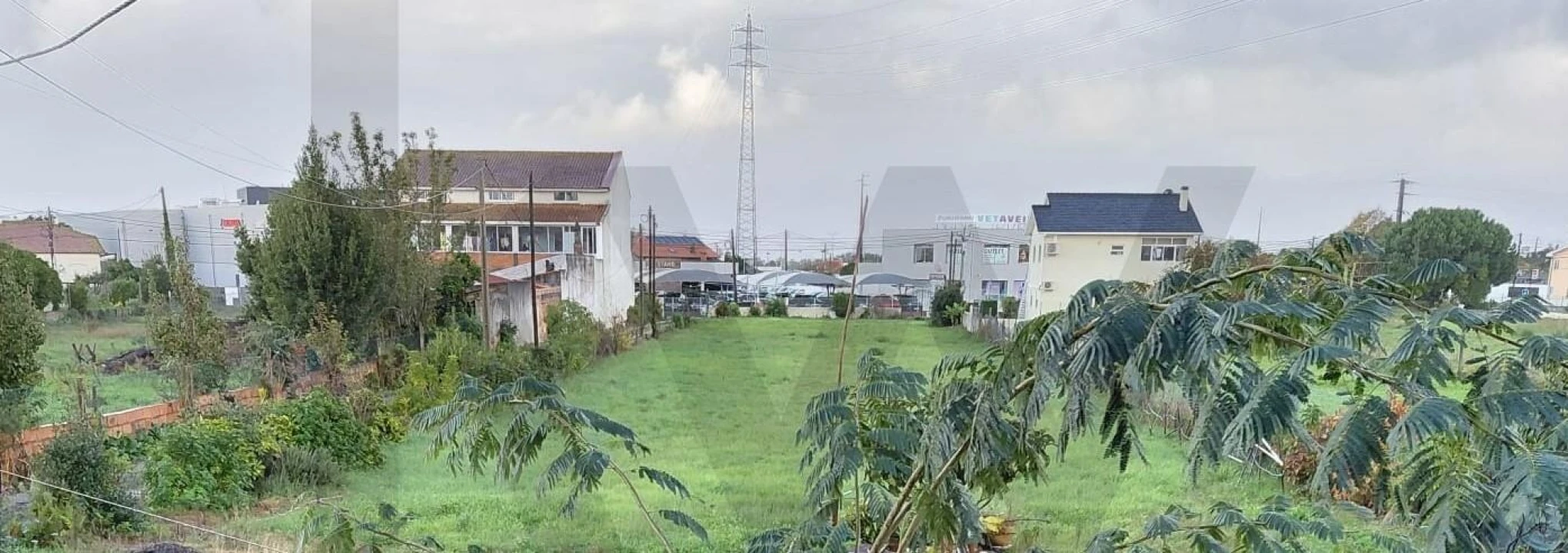 Terreno para Venda em Cacia Foto 2